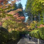 各地で冷たい朝、山間部では紅葉始まる