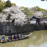 和歌山城の堀から花見、ガイド付き遊覧船運航