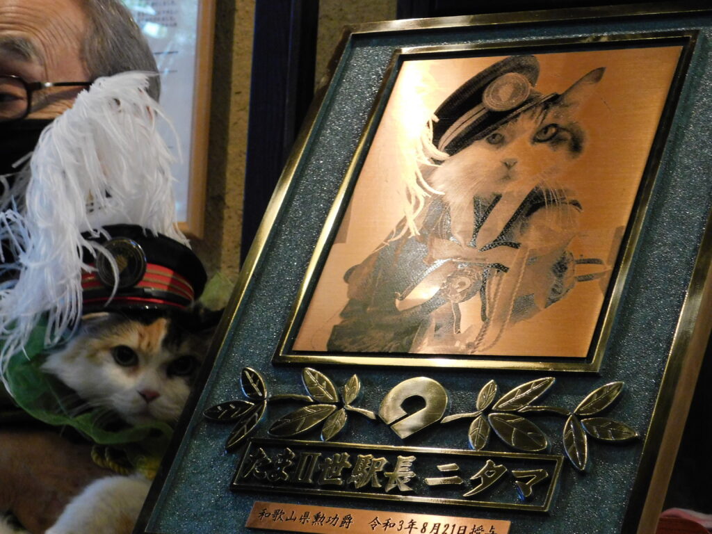 たま名誉永久駅長の誕生日会 今年は雨の中開催 Wbs和歌山放送ニュース