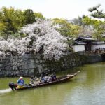 お堀の花見遊覧船が人気、桜満開の和歌山城