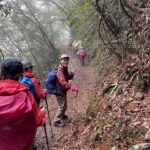 森上亜希子さんと歩く春の熊野古道