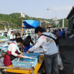雑賀崎漁港で出漁・鮮魚直販再開　６日ぶり