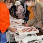 和歌浦漁港で朝市、買い物客でにぎわう