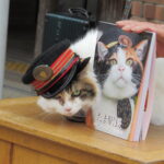 「たま駅長 写真集」２９日発売　