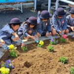 和歌山交通公園の花壇に幼稚園児が苗植え