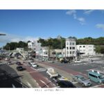 史跡和歌山城「扇の芝」一部が国史跡追加指定へ