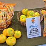 ファミリーマート・和歌山産有田みかん果汁６５％アイスバーを全国発売