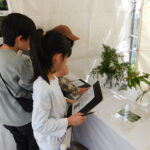 「わかやまグリーンフェスタ」和歌山市で開催　『みどりの愛護』のつどい記念
