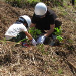 きのくに信金・白浜町で植樹