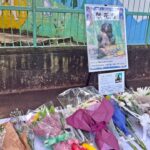 和歌山城公園動物園・ツキノワグマ「ベニー園長」死去・園舎前に献花台設置