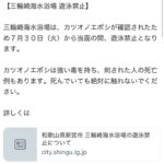 新宮市・カツオノエボシ確認の三輪崎海水浴場を当面遊泳禁止に