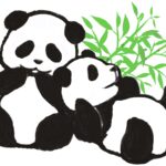 お別れ前、パンダに行列