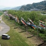 こいのぼりのパレード、有田市の河川敷公園