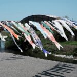 「鯉のぼりの丹生川渡し」始まる、九度山町