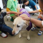 盲導犬とふれあい教室　和歌山盲学校で初めて