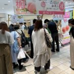 紀の川市の桃や加工品をＰＲ、大阪・梅田でマルシェ