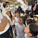 今年も貴志川線で七夕の催し始まる