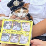 和歌山電鐵今年も猫のカレンダー　きょうから発売