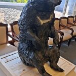 和歌山南ＲＣがツキノワグマ・ベニーの立体像を和歌山市に寄贈