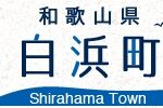 白浜町議選・あす（１０日）告示