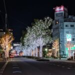 光の大通り始まる「けやきライトパレード」／和歌山