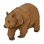 紀伊風土記の丘で熊の目撃情報／和歌山