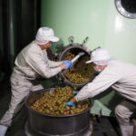 海南市の中野ＢＣで「梅酒ヌーボー」蔵出し／和歌山