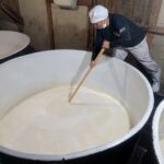 本州最南端の酒蔵、新宮市の尾崎酒造で新酒の初しぼり