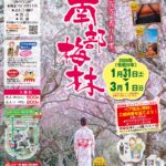 日本一の梅の里、南部梅林３１日オープン／和歌山・みなべ町・田辺市