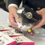 和歌山電鐵が恒例のバレンタインチョコ発売