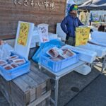 那智勝浦「やりすぎまぐろフェス」開幕／和歌山