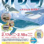 クジラ専門の研究所によるクジラを知る展示／和歌山