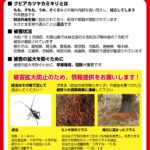 有田市でクビアカツヤカミキリ被害を初確認／和歌山