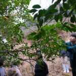 北大生が和歌山研究林で森林研修／和歌山・古座川町