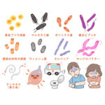 海南市の３０歳代男性が腸管出血性大腸菌に感染