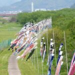 有田川河川敷公園にこいのぼり１５０匹／和歌山・有田市