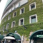 【高校野球】夏の甲子園　智辯和歌山、１５日、福井の敦賀気比と対戦