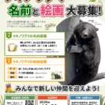 新しいツキノワグマの名前を募集、お城の動物園／和歌山