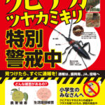 クビアカツヤカミキリみなべ町で初確認