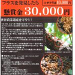クビアカツヤカミキリに懸賞金／和歌山・田辺市