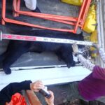 県内初・古座川町でツキノワグマを緊急銃猟／和歌山